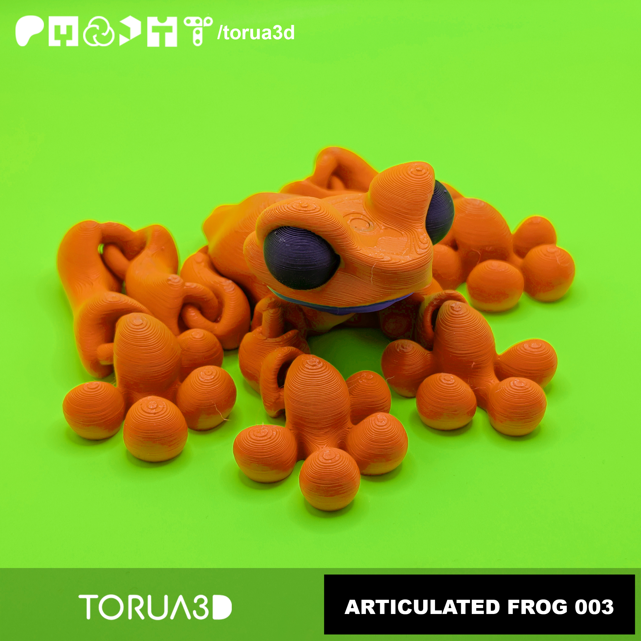 Articulated Frog 003