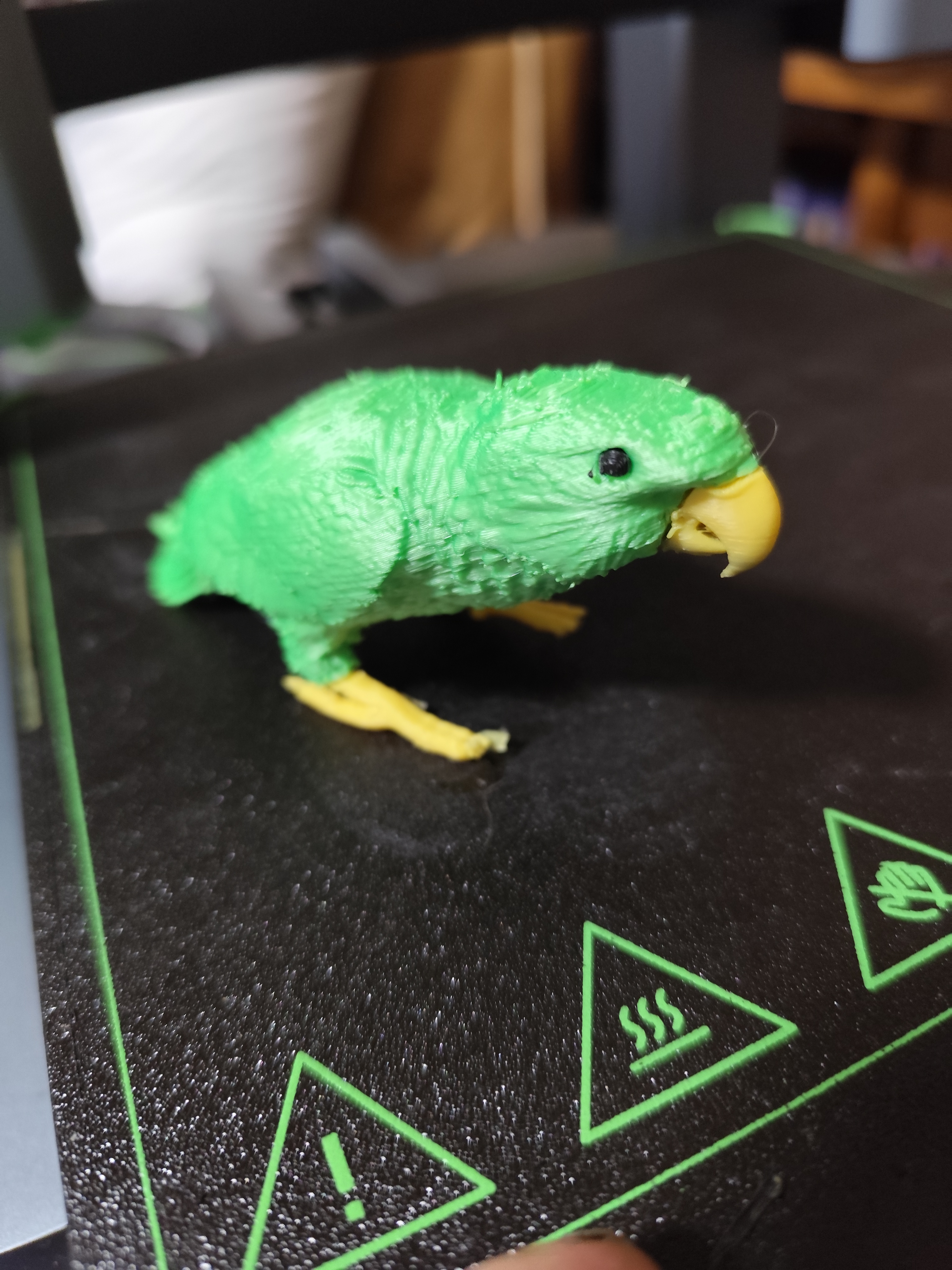 kakapo clumsy parrot remod