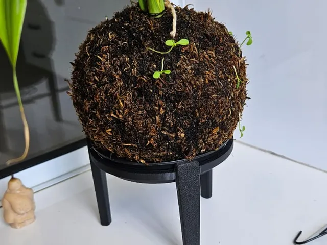 Vase stand