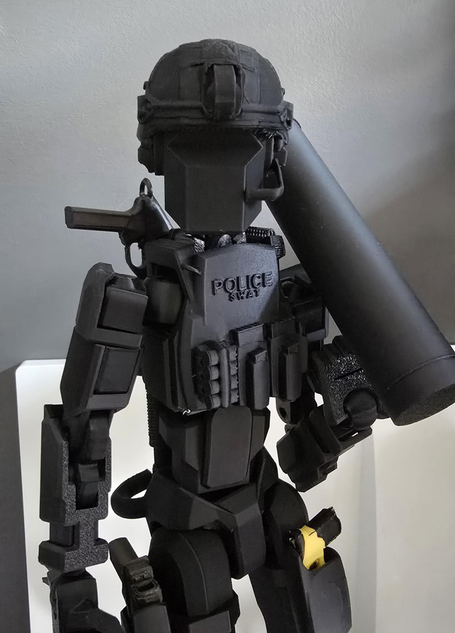 Dummy 13 Shotgun Breacher Plate Carrier