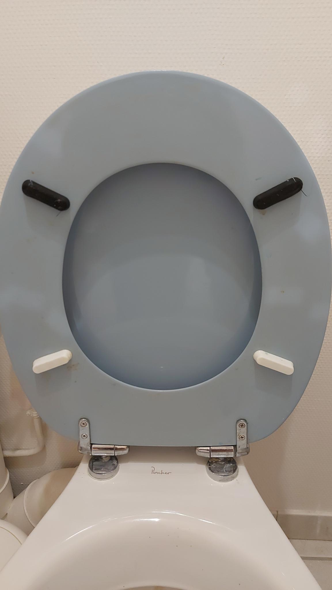 Patin parametrique pour lunette de WC - Parametric pad for toilet seat 3D model