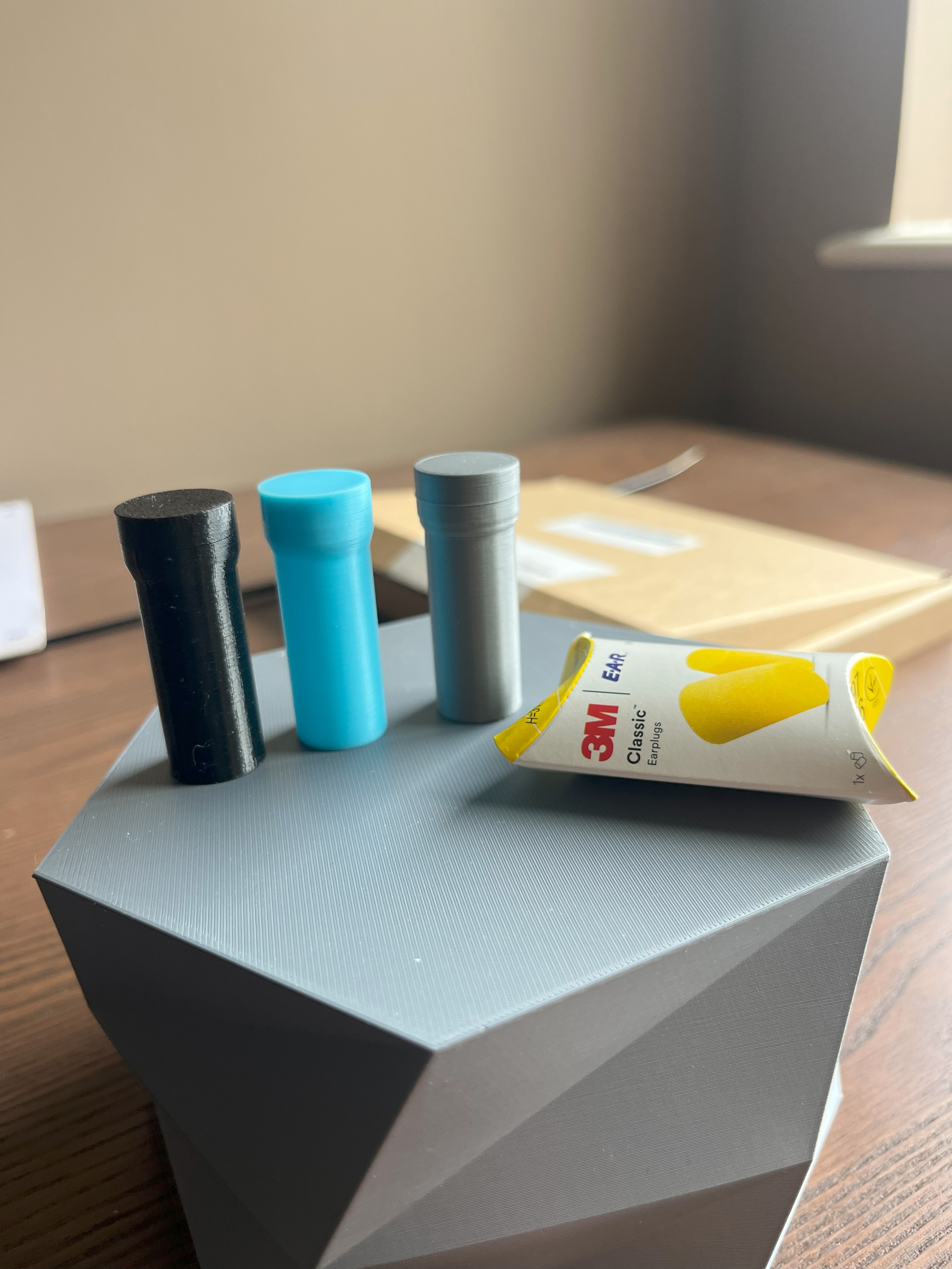 3M Earplug case