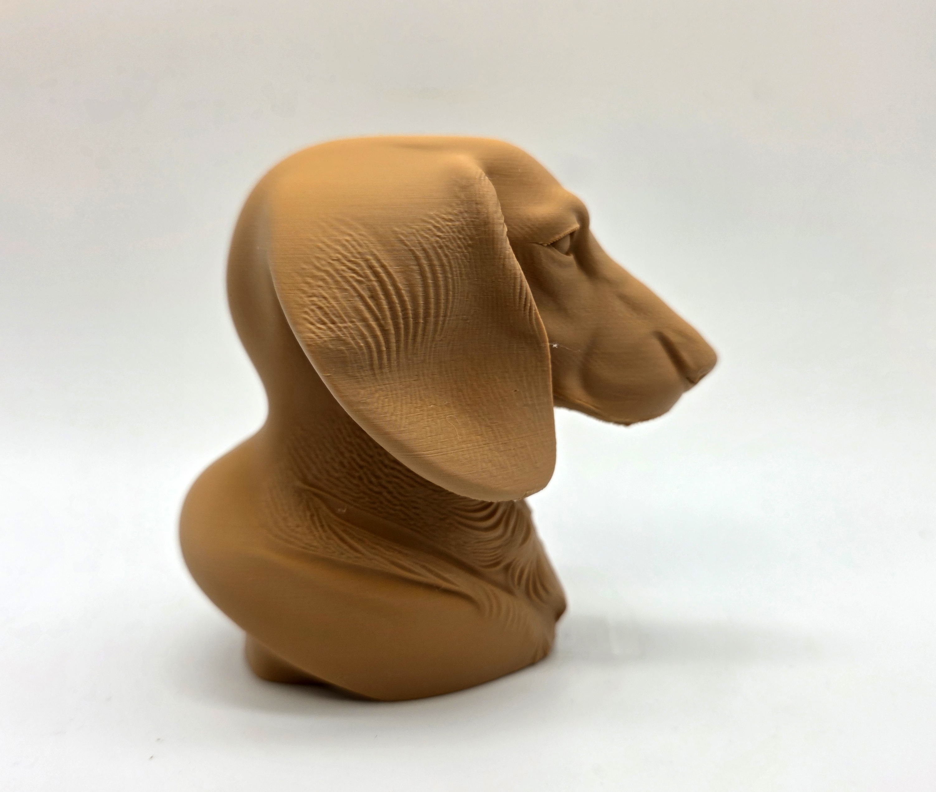 Dachshund Bust — miniatura 5
