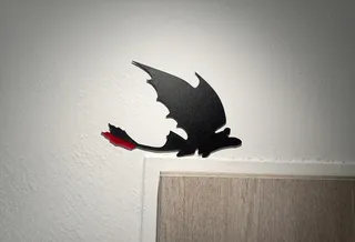 Night Fury Toothless door decor.