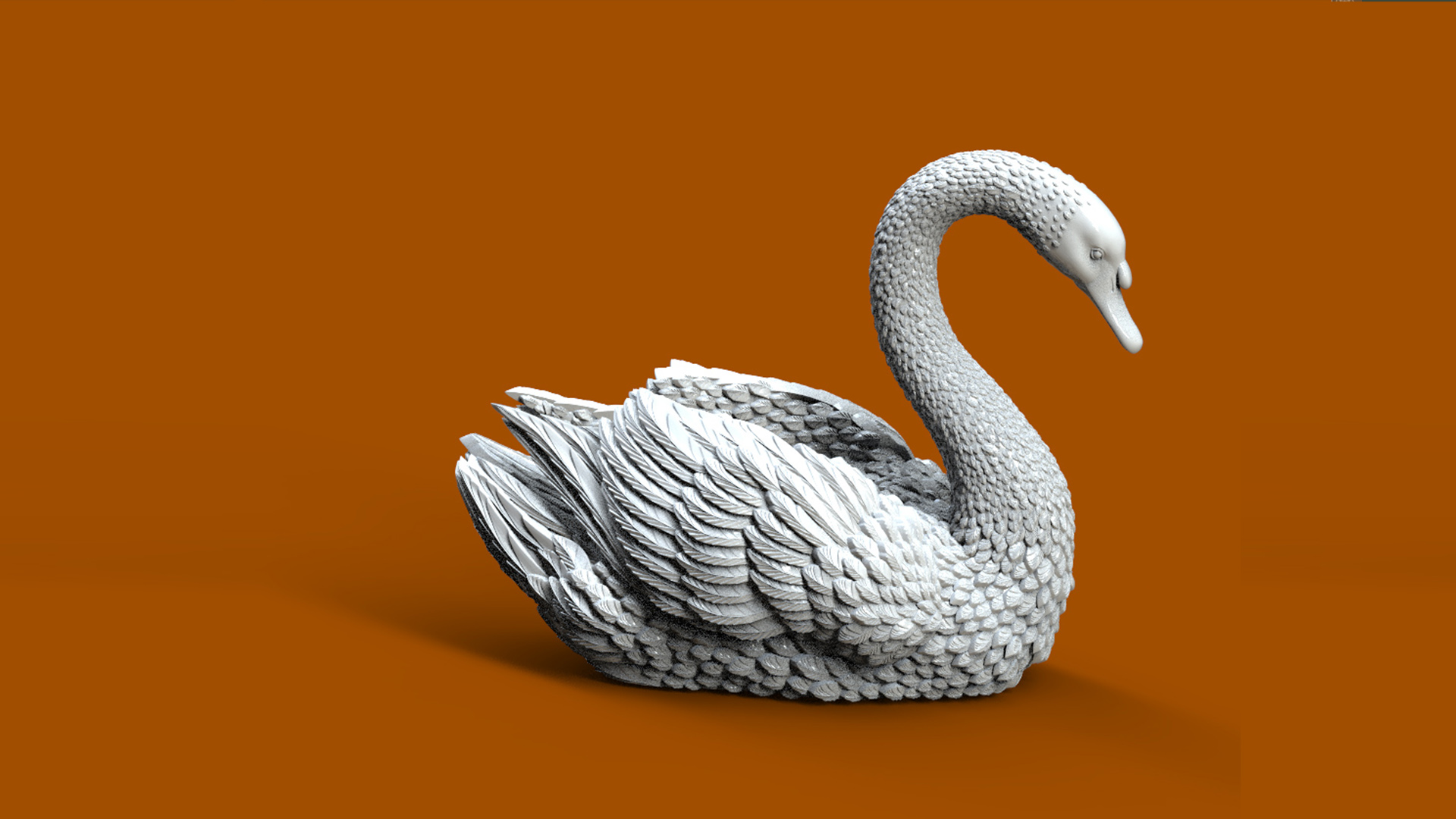 BIRD SWAN — thumbnail 5