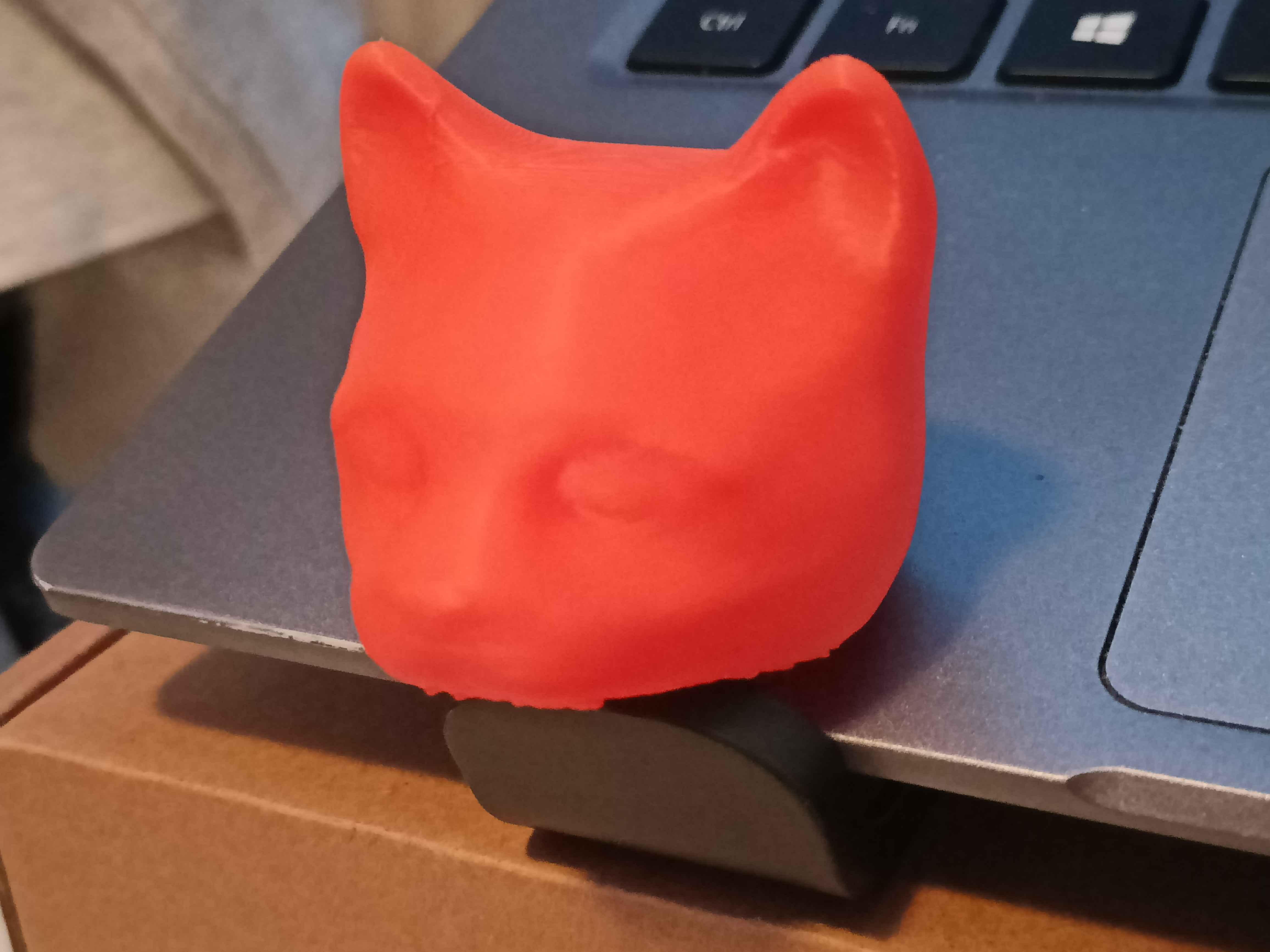 Miniatura 5 do modelo 3D Realistic Cat Head
