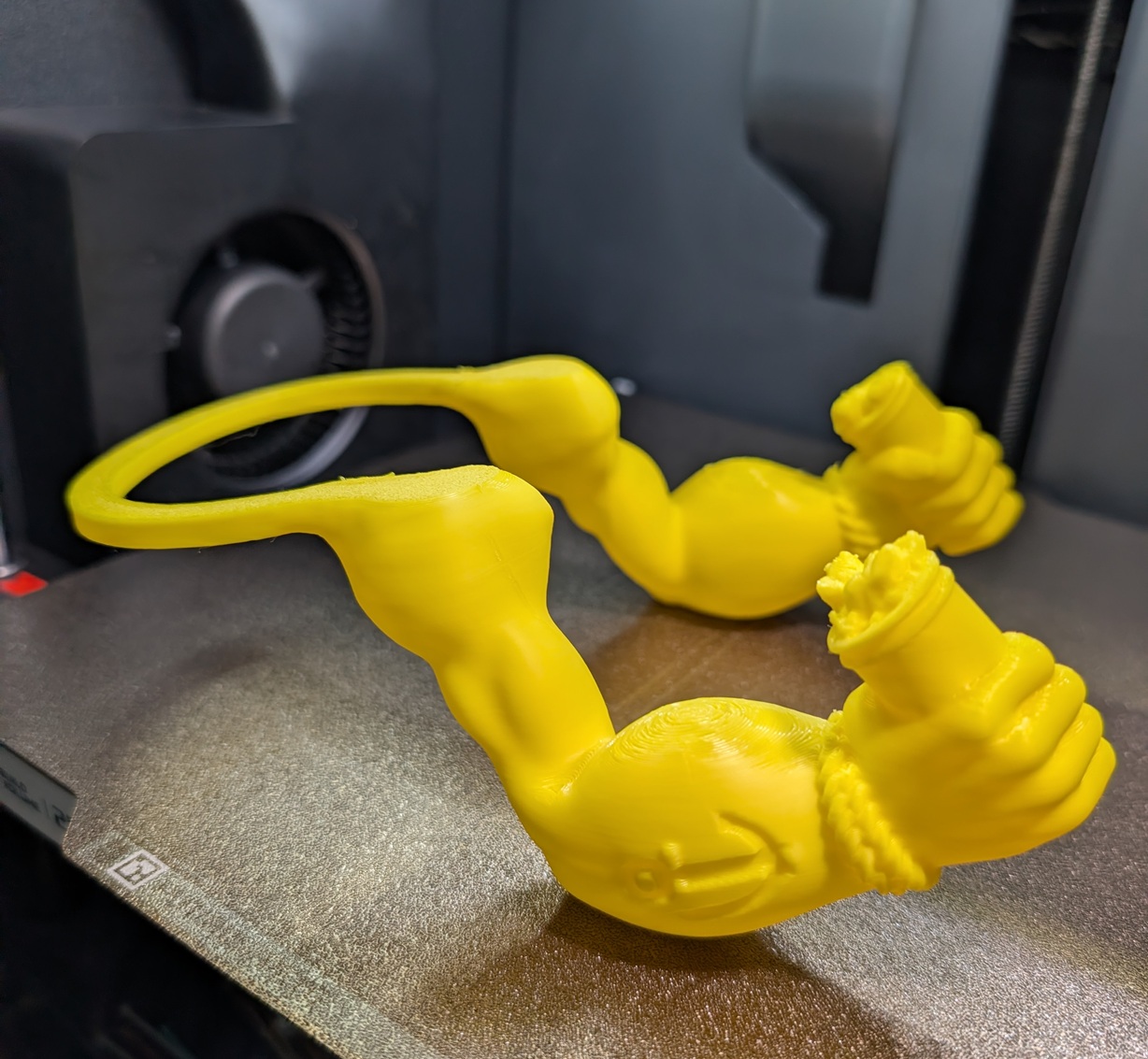 Popeye arms for your cat