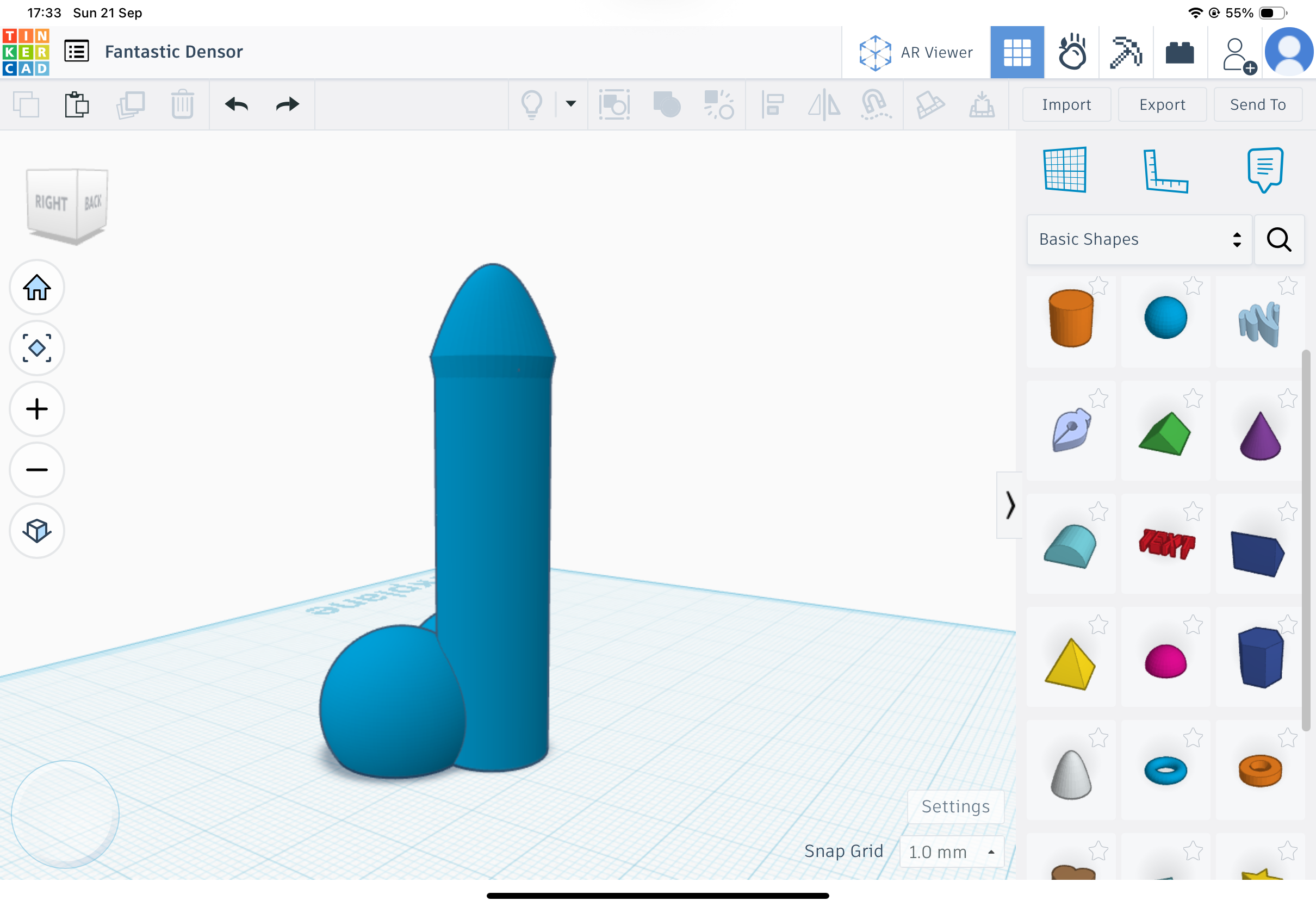 Penis for any vacuum