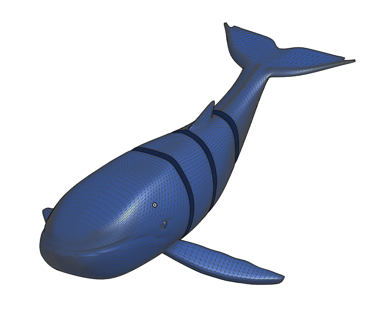 Whale Bendy