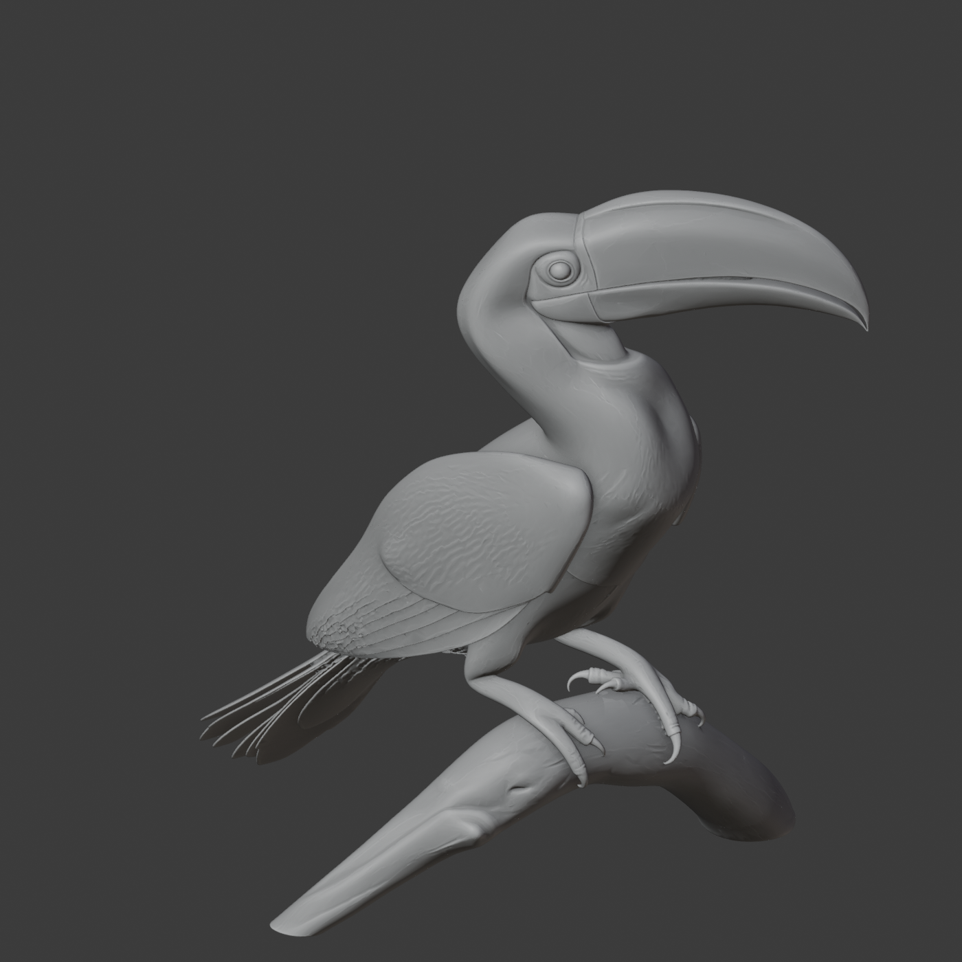 Hornbill