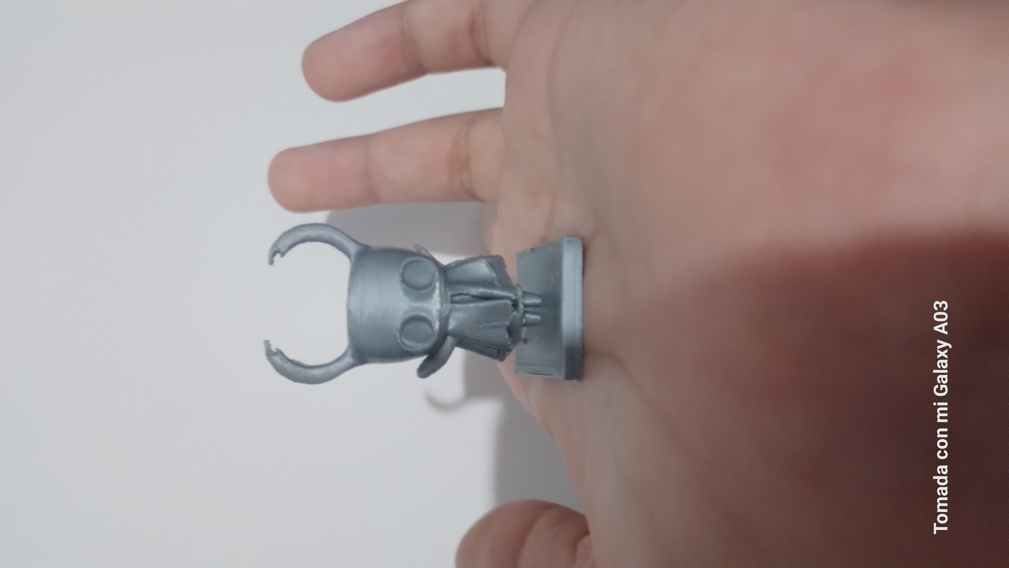 hollow knight caballerito