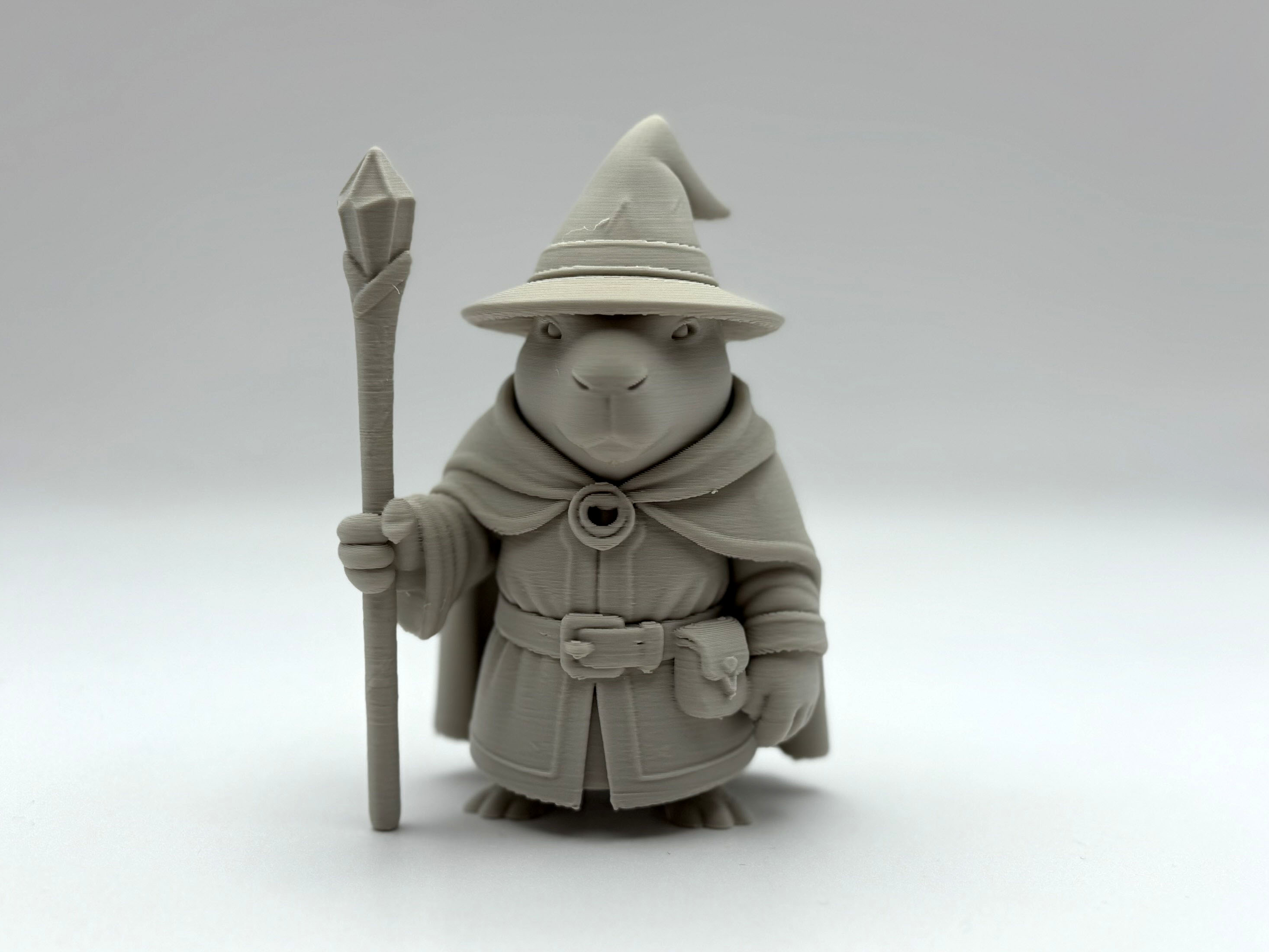 Capybara Wizard