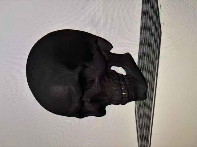 Skull Totenkopfschädel Schädel