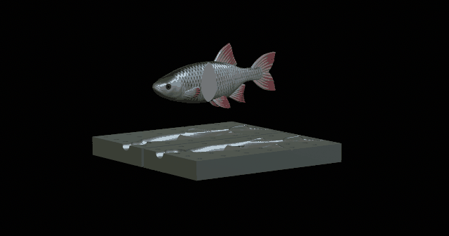 AM bait common rudd 16cm breaking model / mold for predator fishing by ...