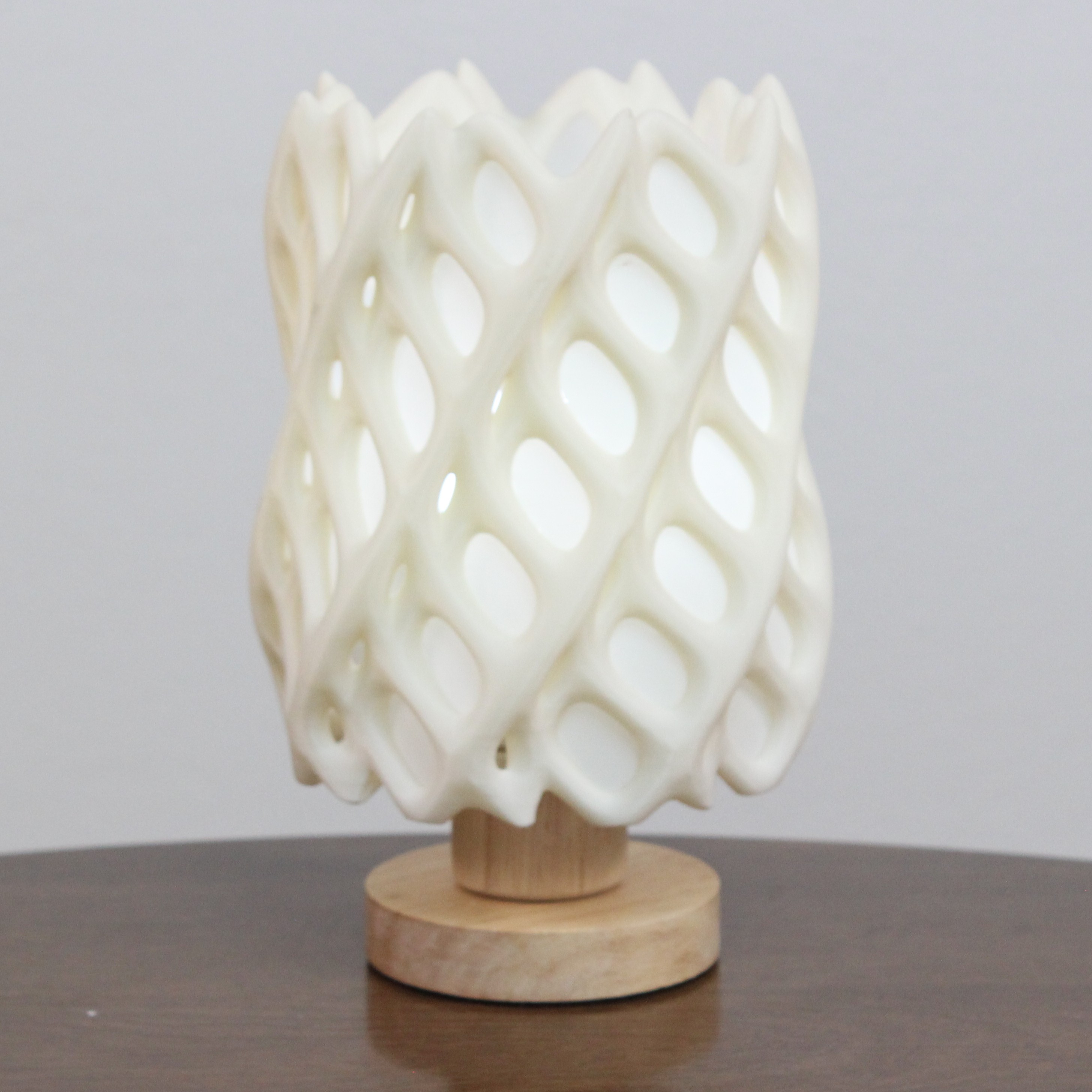 Cholla Cactus Lamp — miniatura 4