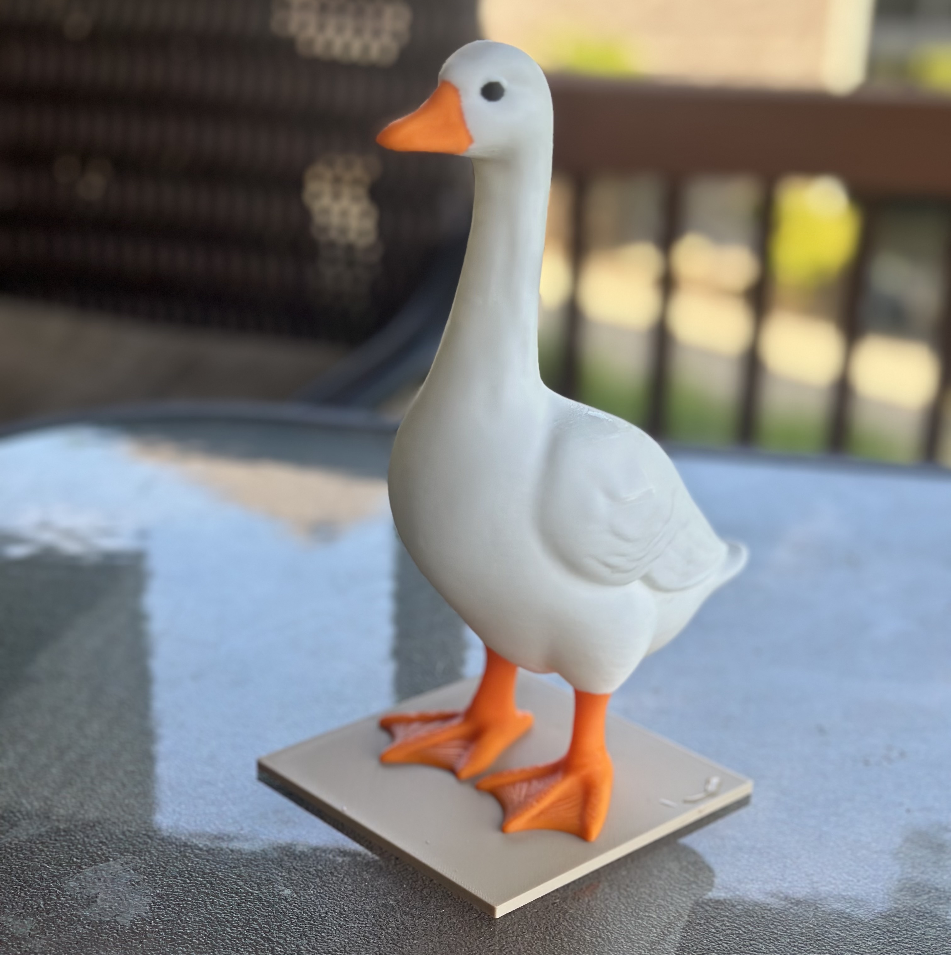 Desktop Goose - from porch goose
