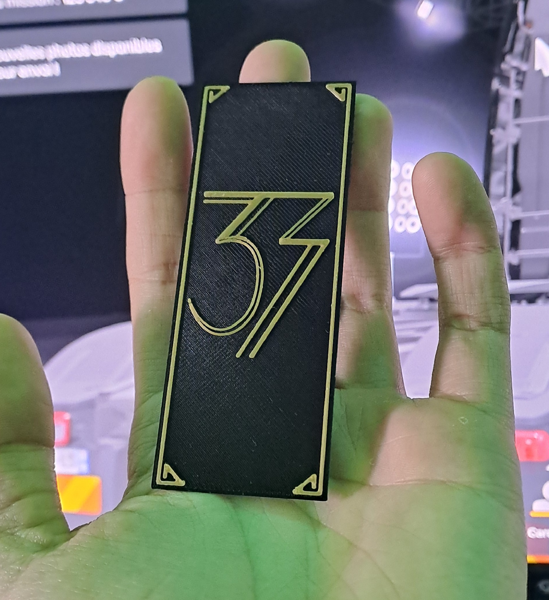 Badge Expédition 33