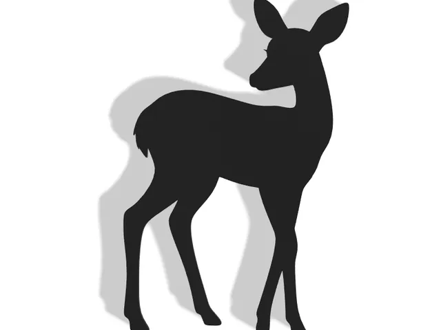 Doe Decor