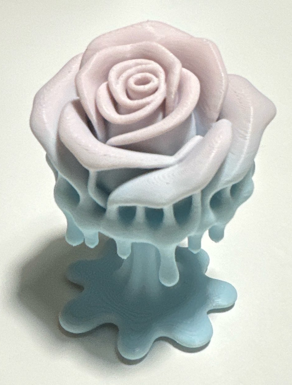 Melting Rose