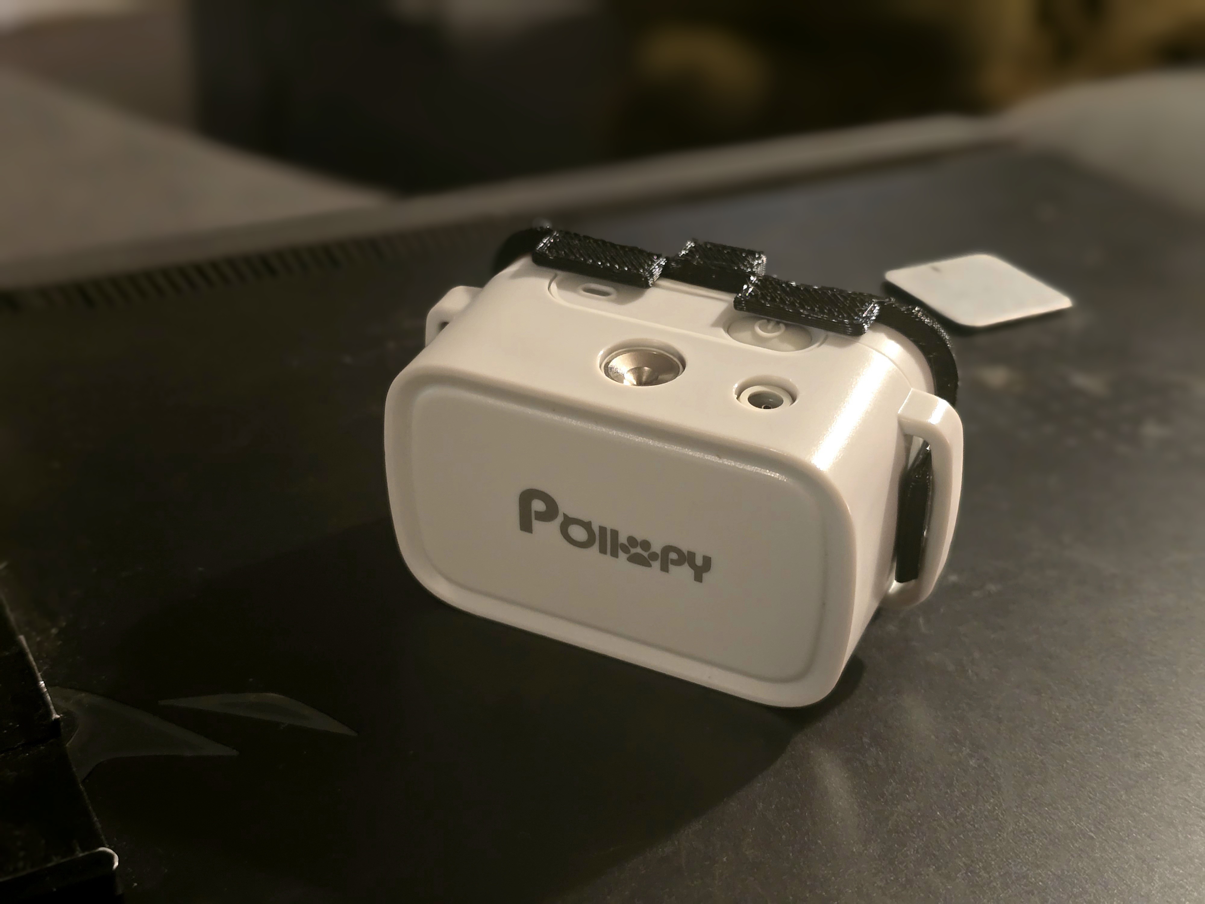 POLLOY collar clip