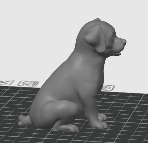 Puppy