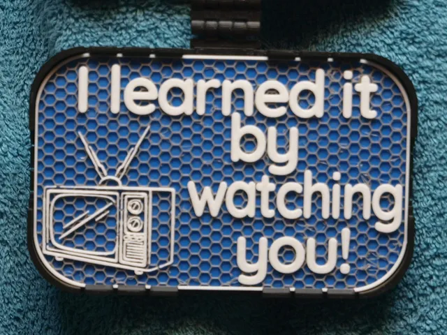I learned it by Watching You sign