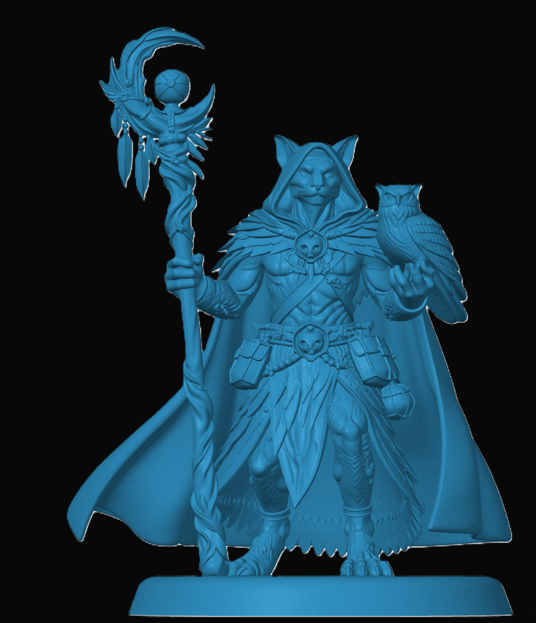 Tabaxi Druid — miniatura 3