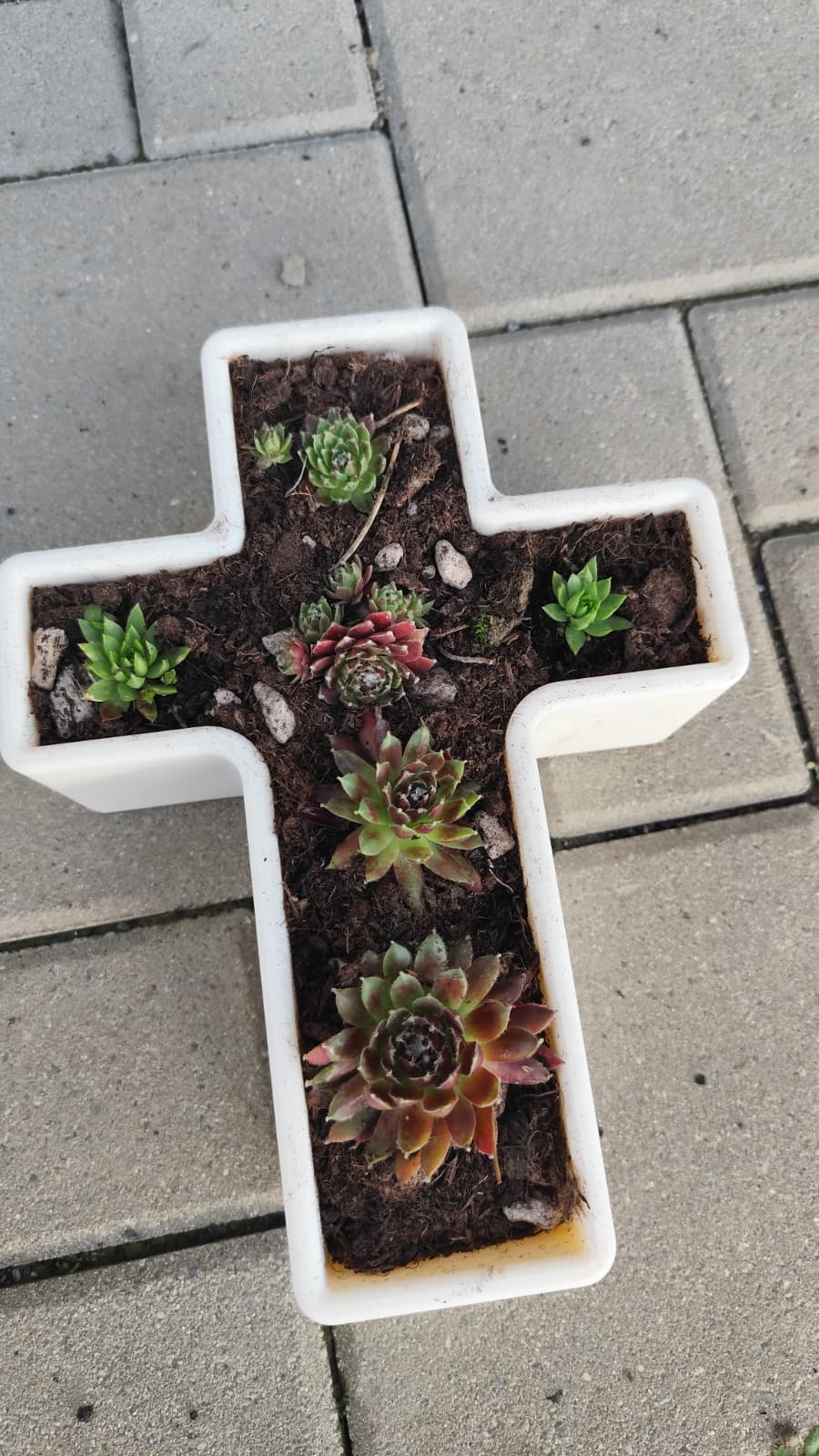 Cross-Shaped Flower Pot