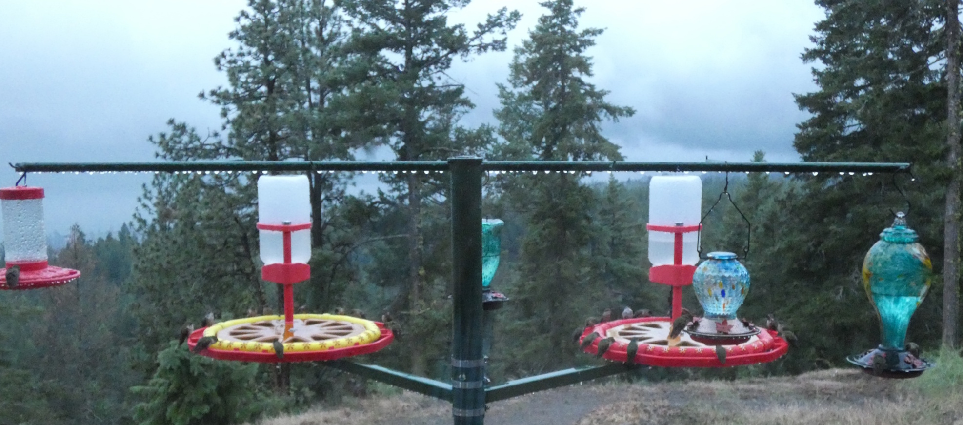 Hummingbird Feeder, jumbo