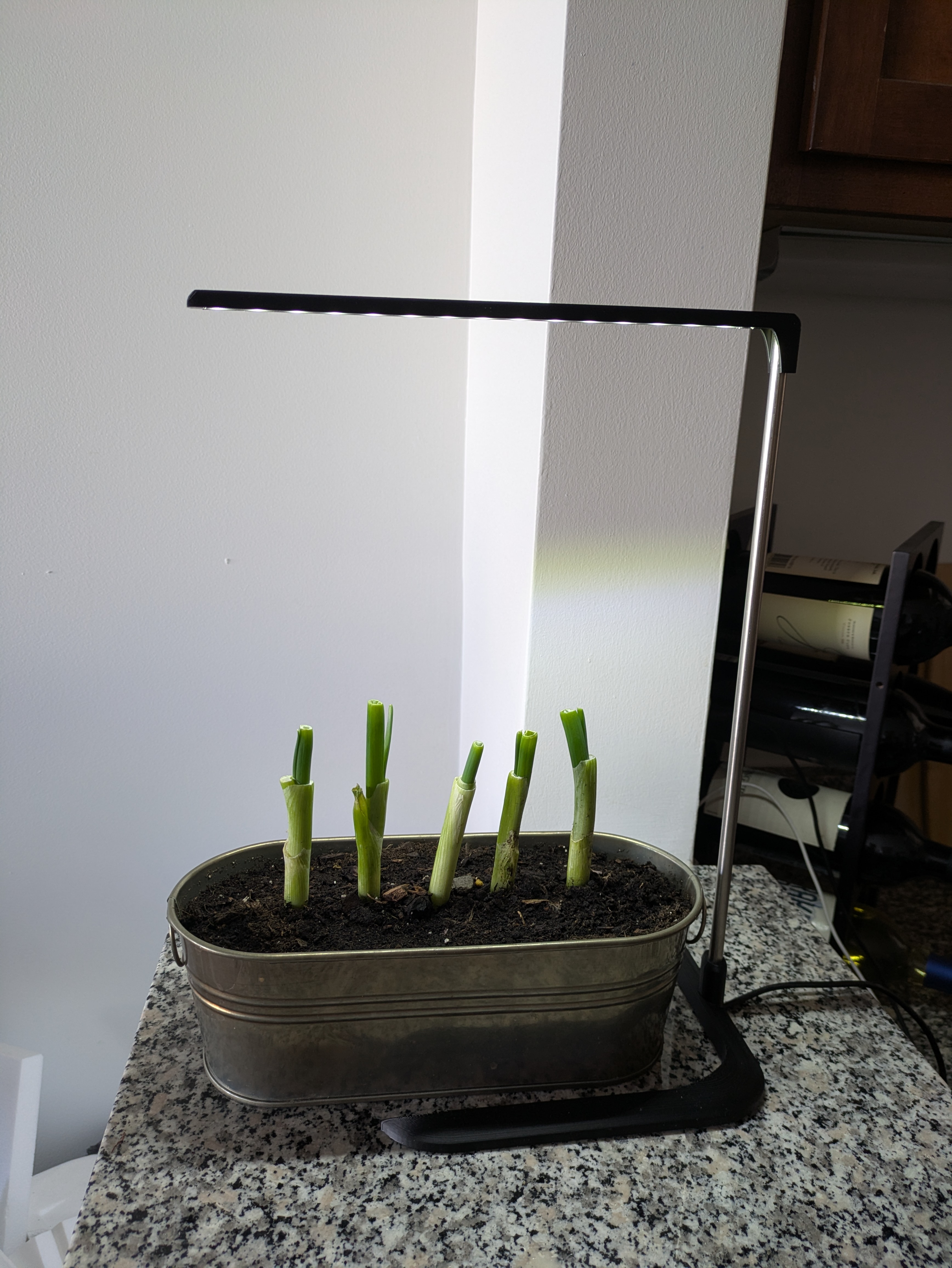 LED Grow Light