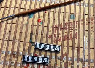 TESLA logo