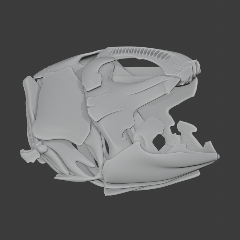 Coelacanth Skull by meshcraft3d | Download free STL model | Printables.com