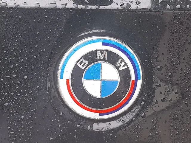 BMW Logo Adapter