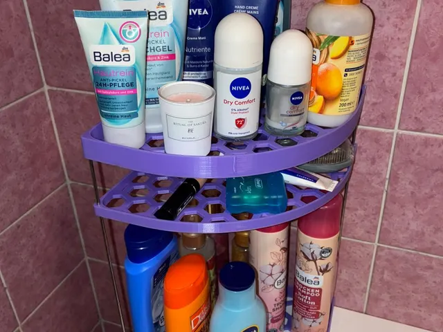Corner Shelf Organizer (Modular)