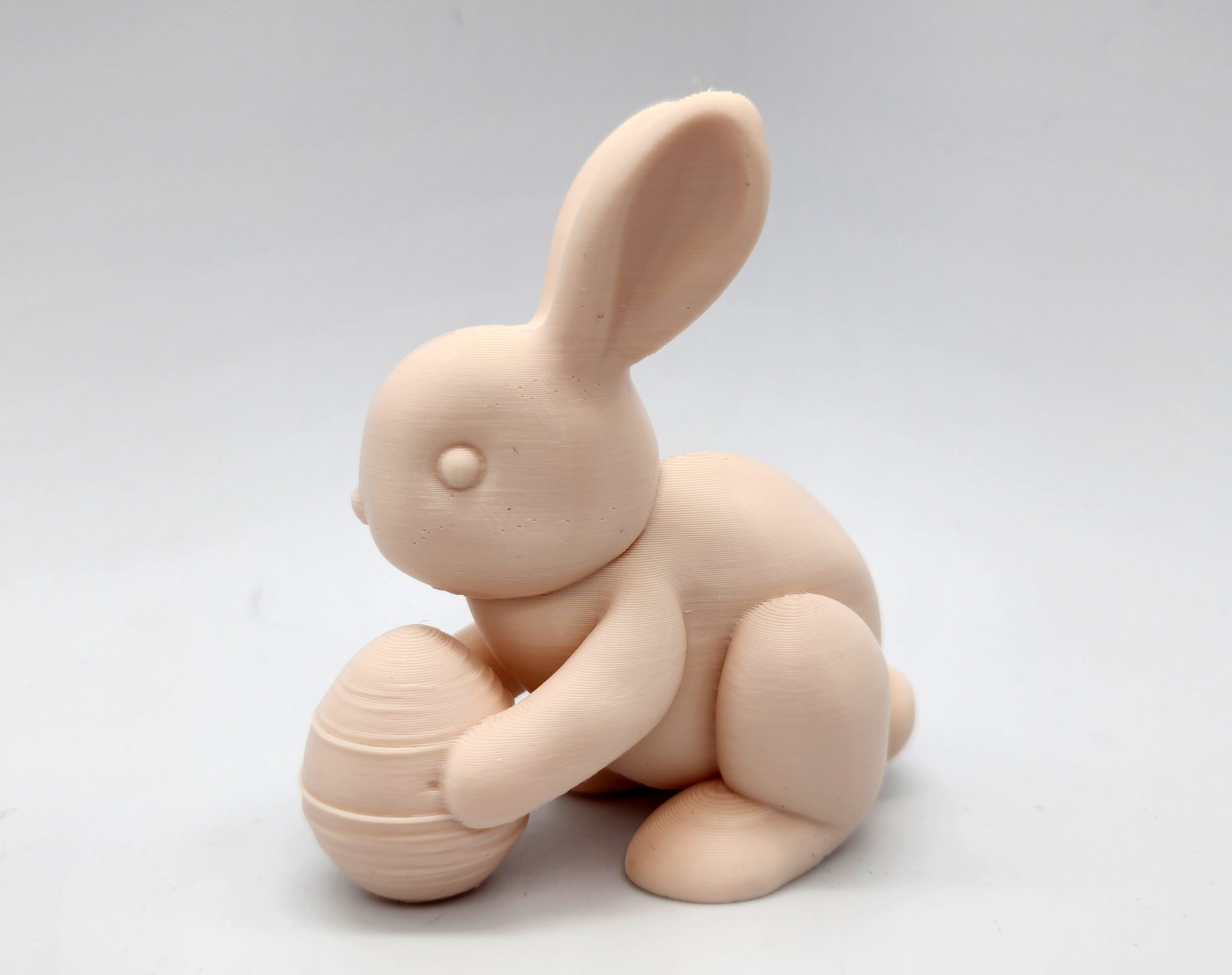 Miniatura 2 do modelo 3D Bunny with Easter Egg