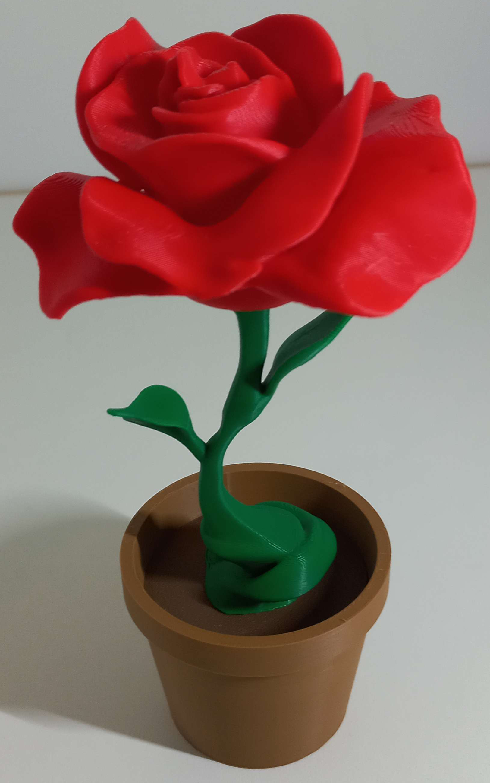 Multi Part Potted Rose (parametric) — thumbnail 2