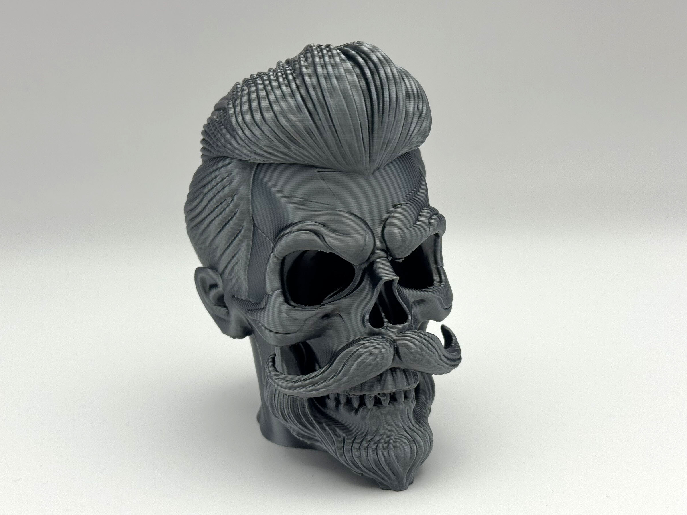 Stylish Skull Bust