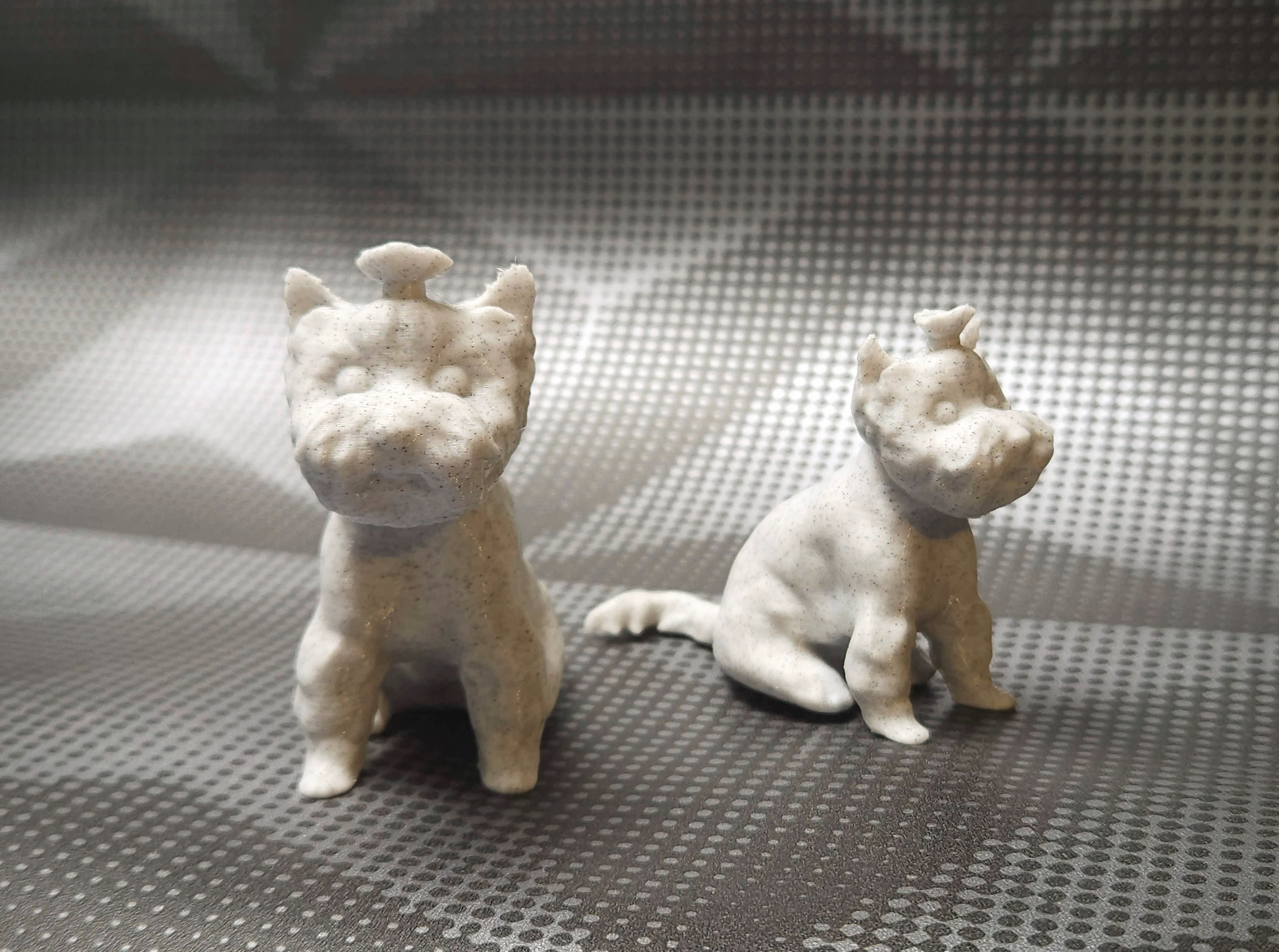 Yorkshire terrier sitting