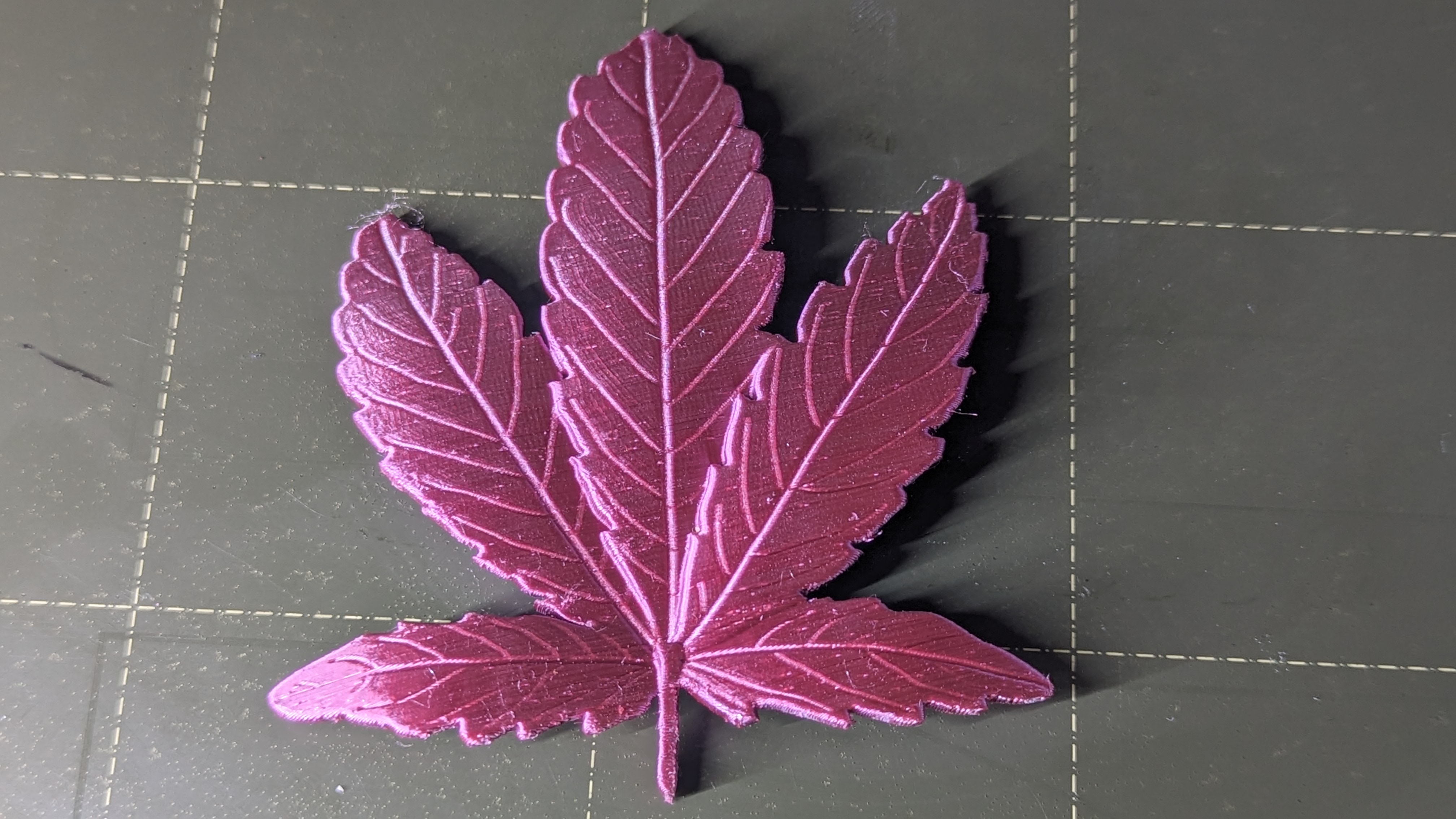Hemp leaf