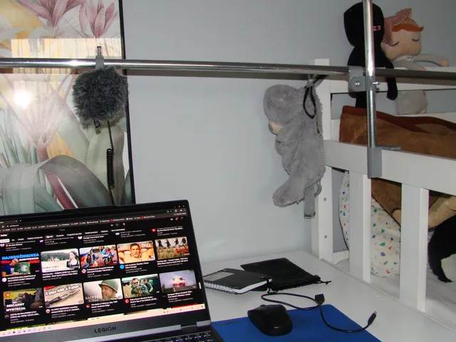 Boya BY-MM1 microphone stand