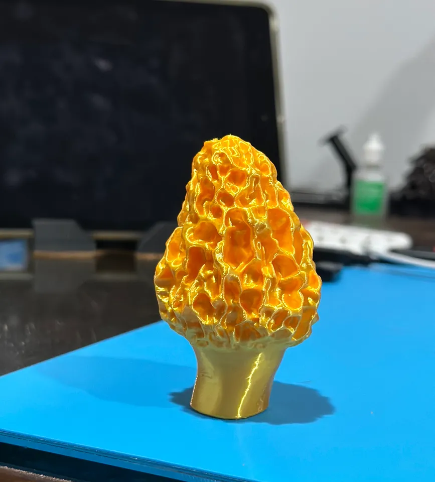 Morel Mushroom by Robert | Download free STL model | Printables.com
