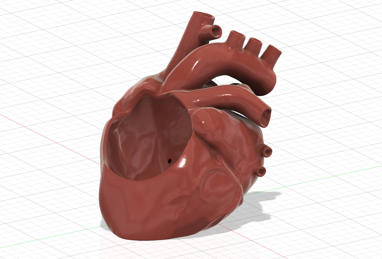 Anatomical Heart Pot by HuMan | Download free STL model | Printables.com