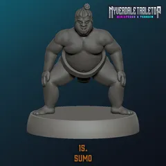Sumo Wrestler