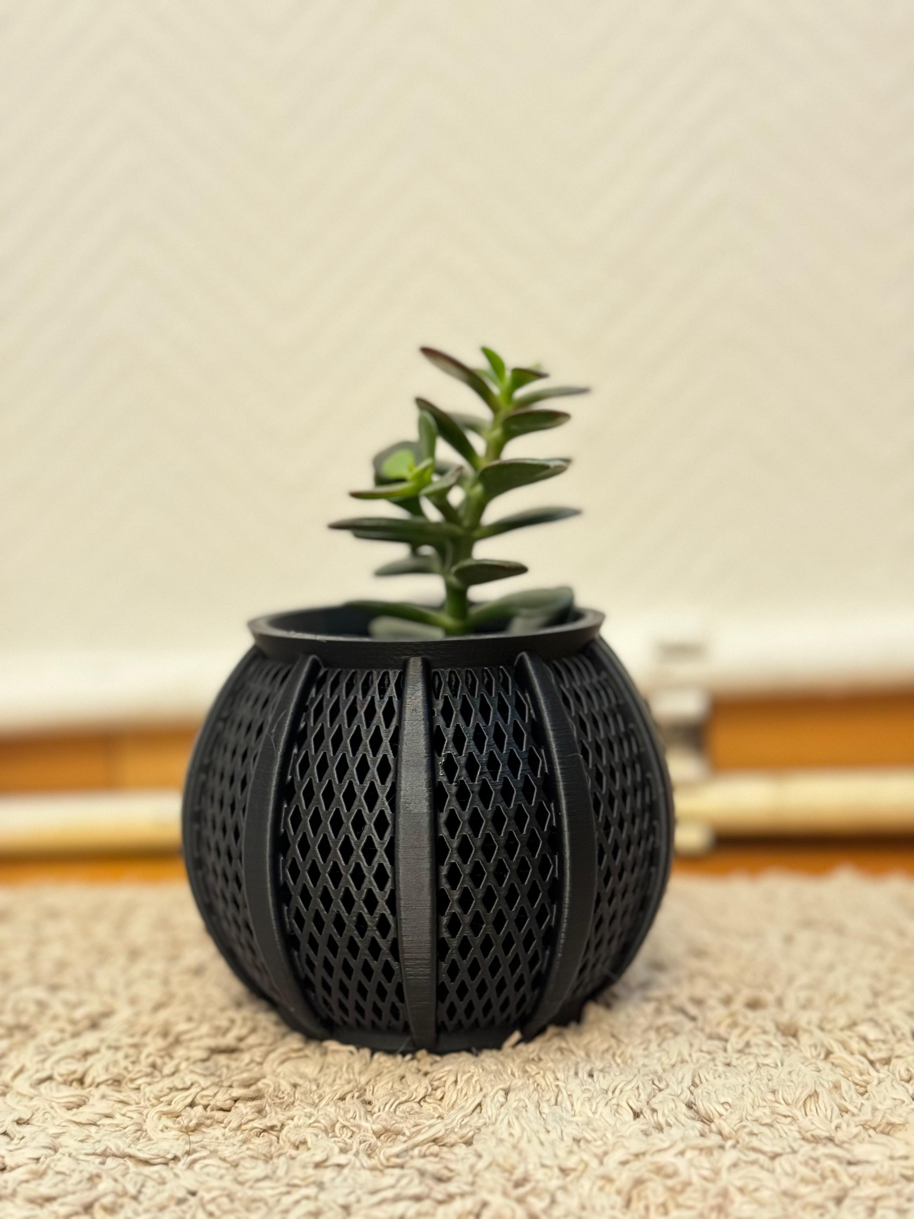 Plantpot III