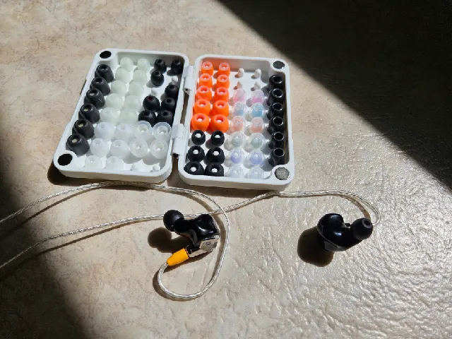 IEM Tip Case