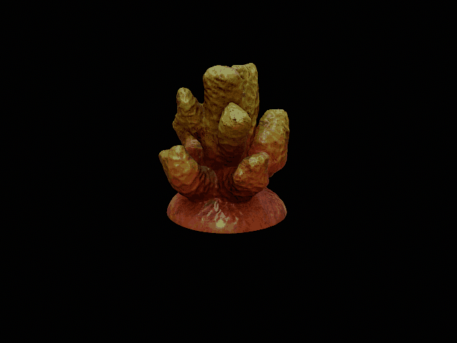 Coral set decoration aquarium