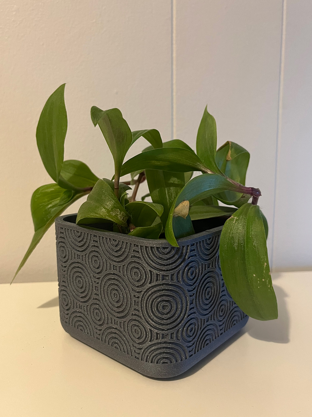 PLANTER