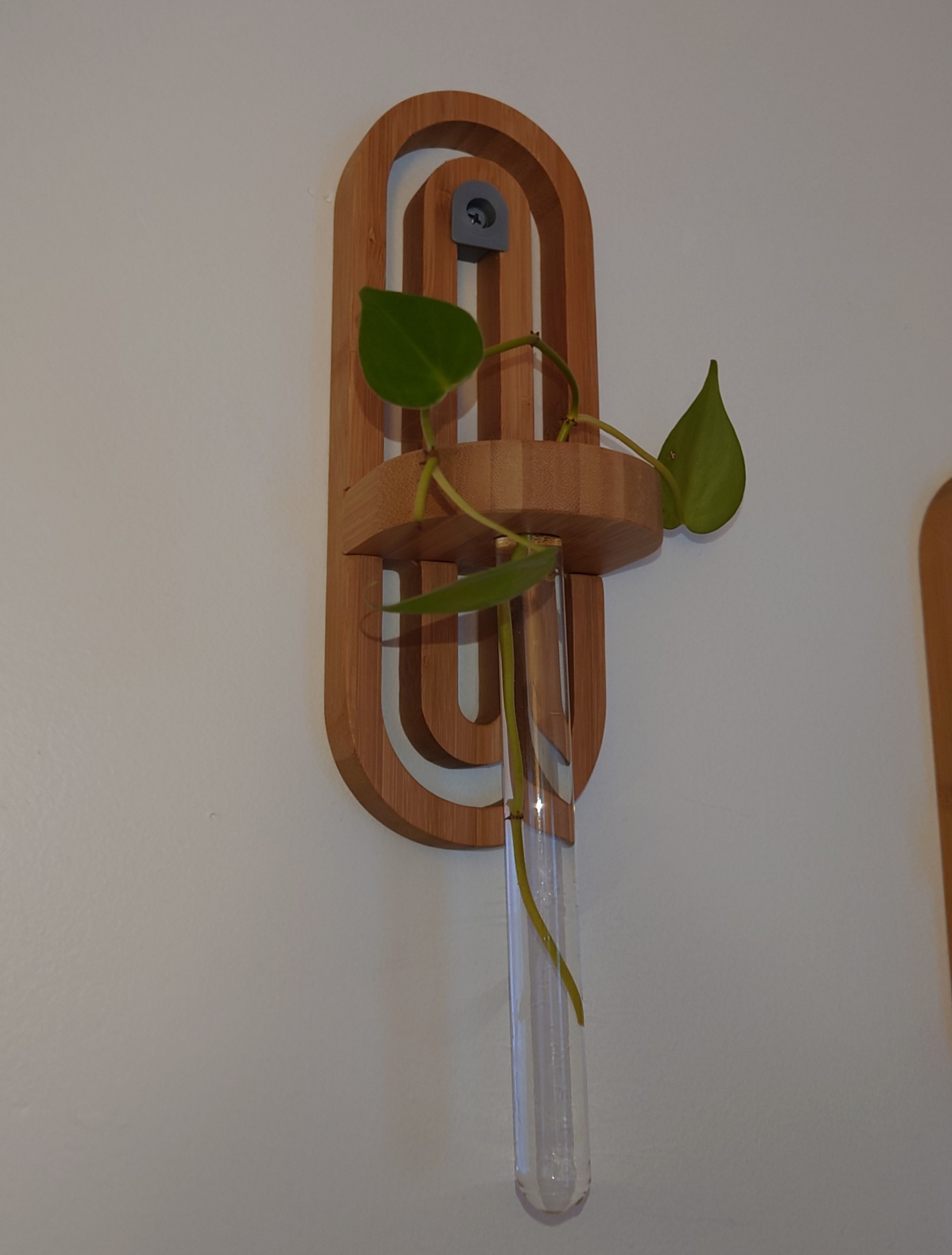 Boho Decor Plant Wall Mount