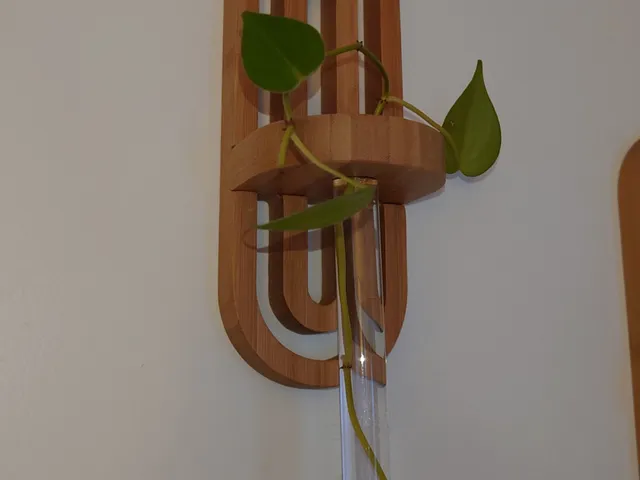 Boho Decor Plant Wall Mount