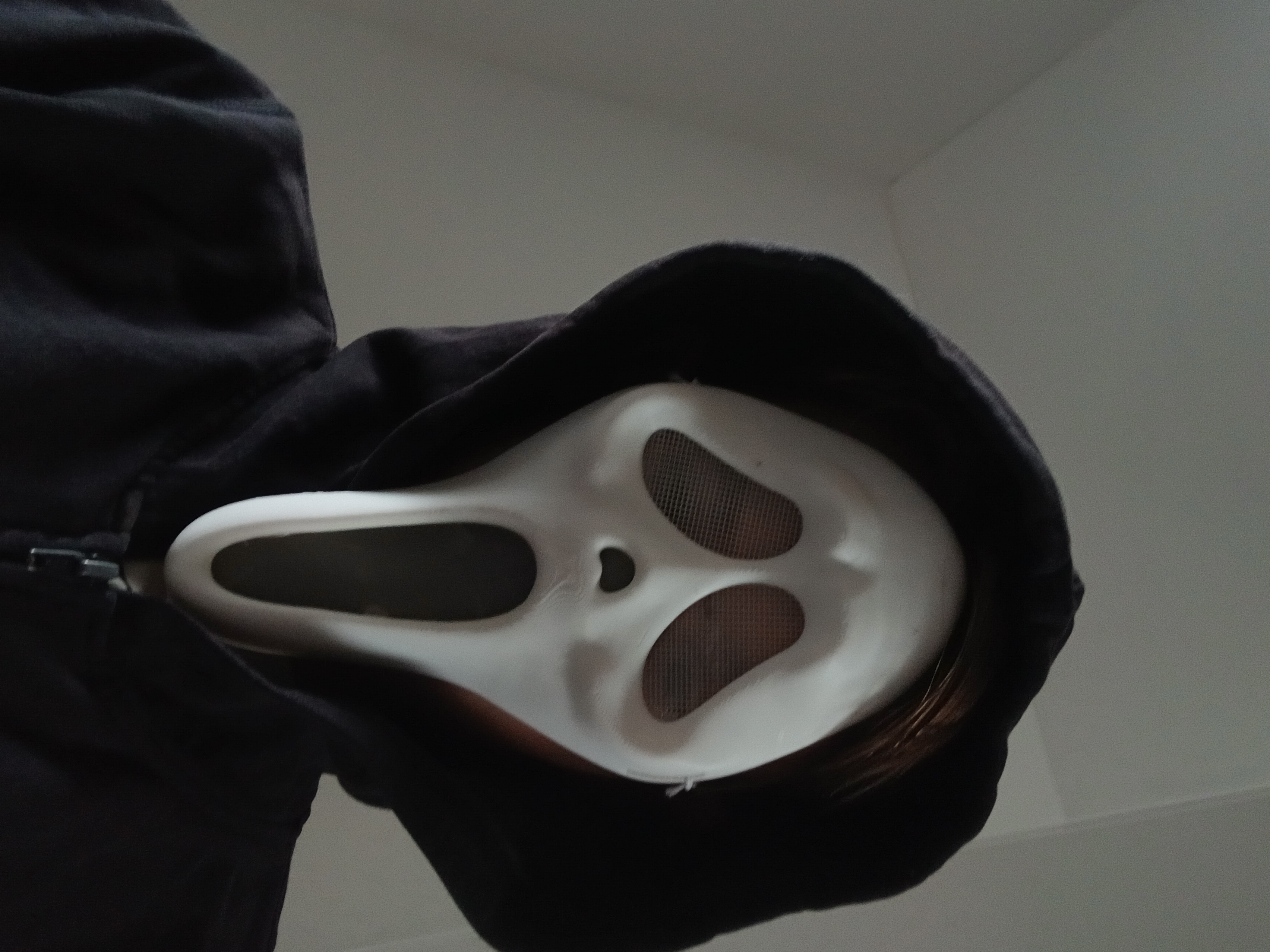 Miniatura 3 do modelo 3D GhostFace Mask